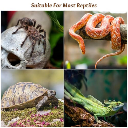 Toyvian Reptile Tank Lid Clips, 6pcs Escape Proof Terrarium Screen Cover Latches Heavy Duty Security Lock for Snake Lizard Turtle Glass Cage Accessories Fits Mesh Screens