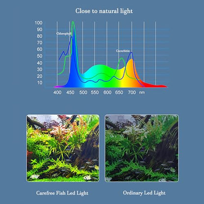 Aquarium LED Light USB 5V1A RGBW 5730 Timmer 1~10Gal Fish Tank Clip Light 10 Brightness Levels 8W with USB Port (Include UL Certification Power Adapter)