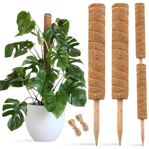 30 Inch Moss Pole for Climbing Plants - 2 Pack 15 Inch Coir Totem Pole Plant Support with 65 Feet Garden Twist Tie for Monstera and Potted Plants to Grow Upwards…