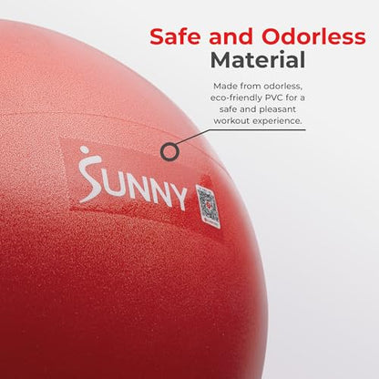 Sunny Health & Fitness Premium Anti-Burst Exercise & Stability Ball - size: 9" (23cm)
