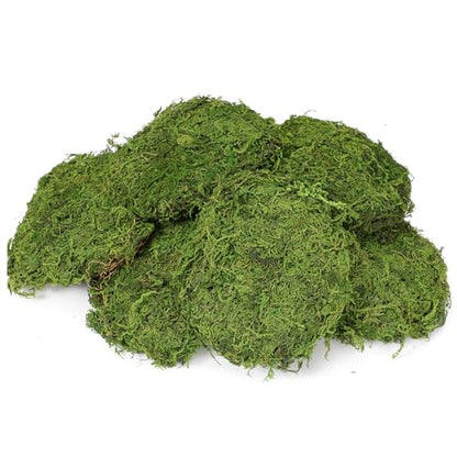 Solsew 6 Pcs Artificial Fake Green Moss for Potted Plant Indoor Waterproof Decorative Faux Moss Decor for DIY Crafts Garden Wedding Party Decoration(Stylish) - style: Stylish