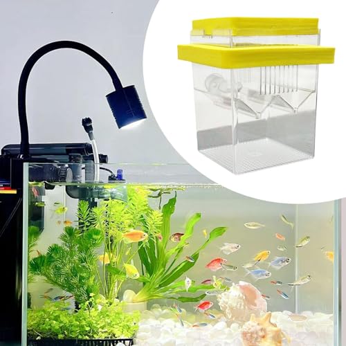 Floating Hatching Box Fish Breeding Box Fish Nursery Separation Hatchery Fish Isolation Box for Baby Fishes Shrimp,Fish Egg, Yellow - color: Yellow