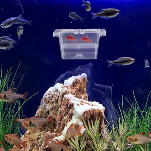 Fish Breeding Box with Divider and Suction Cups Double-Layer Plastic Incubator Tank for Aquarium Betta Fish Nursery and Hatchery Acclimation and Isolation