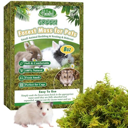 12QT Small Animals Bedding & Nesting Material, Forest Moss for Odor Control Rabbits Squirrels Hamsters Guinea Pigs, Soft & Safe for Small Animals Cages Terrariums Reptiles Plants