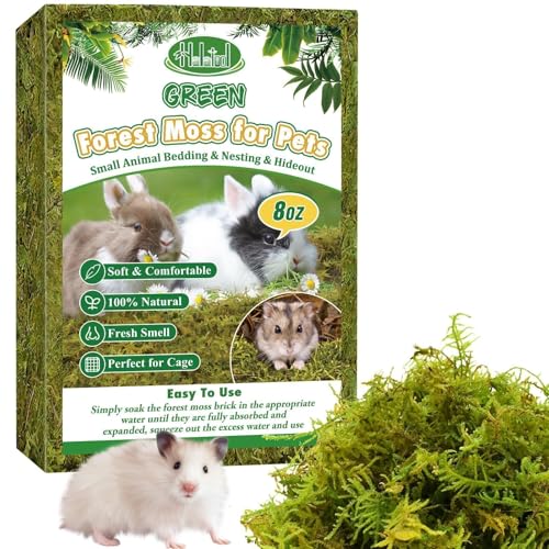 12QT Small Animals Bedding & Nesting Material, Forest Moss for Odor Control Rabbits Squirrels Hamsters Guinea Pigs, Soft & Safe for Small Animals Cages Terrariums Reptiles Plants