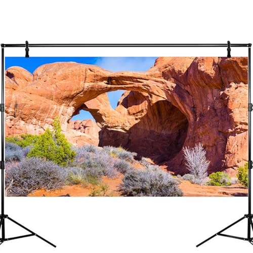 Double Arch Reptile Terrarium Background Sunny Blue Sky Bush Thorns Terrarium Background Arid Barren Cactus Sandstone Reptile Tank Background Arch Rock Mountain Reptile Habitat Background 24x12in