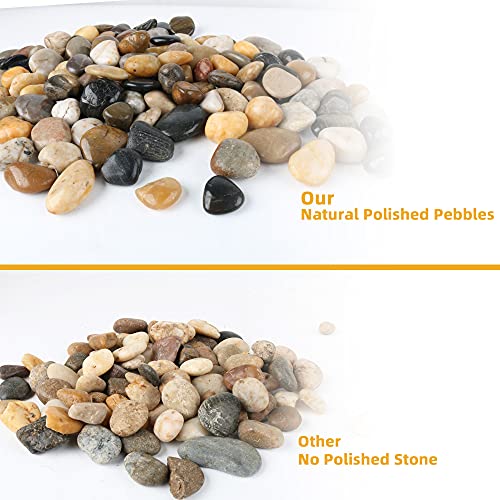 Pebbles for Plants 1.8 lb Natural Garden Decorative Stone Outdoor Polish River Rocks 1-1.5 Inches… - size: 1.8LB, style: Colour