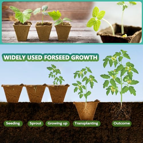 360 Cells Seed Starter Tray, 30 Pack Biodegradable Peat Pots with 200 Labels, Plant Starter Kit for Seedlings - size: 360 Cells, 30 Packs