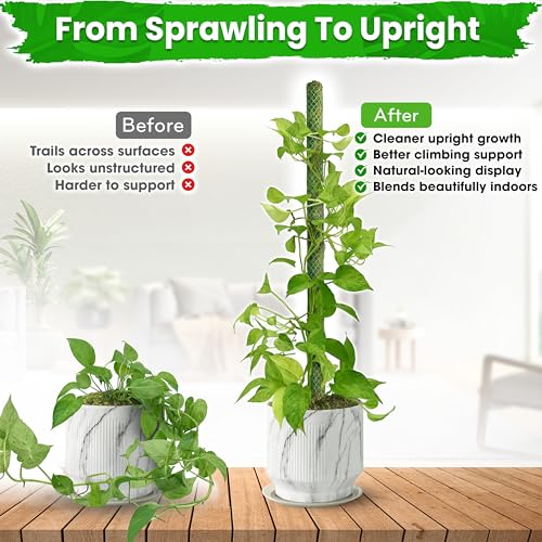 2 Pack 25’’ Mesh Moss Pole for Climbing Plants, Natural Moss Pole Monstera Plant Support, Real Moss Poles for Plants Indoor, Moss Stick for House Plants, Moss Stakes for Climbing Plants