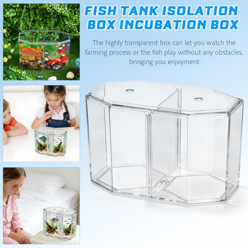 Alipis Octagonal Acrylic Betta Fish Breeding Box with Dual Compartments, High Transparency Isolation Hatchery Tank for Small Tropical Fish, Desktop Aquarium Separation Container