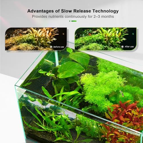 FZONE Root Tabs, Aquarium Plant Fertilizer, Safe for Fish & Shrimp, 60g/Box