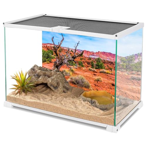AWERT 72x24 inches Reptile Habitat Background Blue Sky Oasis Orange Desert Terrarium Background Durable Polyester Background - size: 72x24in/180x60cm