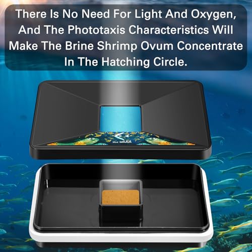 Brine Shrimp Hatchery Incubator Kit Dish, Efficient and Easy Brine Shrimp Hatchery Collect with Net, Measuring Cup, Eggs Spoon, Dropper