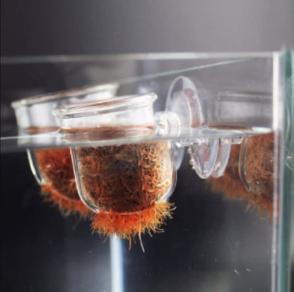 Aquarium Feeder, Transparent Suction Cup Fishes Feeding Cup Food Container for Feeding Shrimp Fish(Glass Hole Cup)