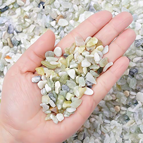5LB Succulent and Cactus Bonsai DIY Rocks, Jade Bean Pebbles, Natural Decorative Polished Stones Vase Fillers Gravel for Plants，Terrarium , Fairy Gardening, Indoor Outdoor Decor Ornamental Stones. - size: 5 LB