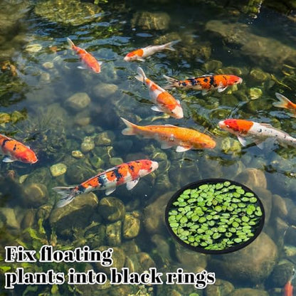 JJUNW 10 Pcs Aquarium Floating Plant Corral, Fish Feeding Ring Fish Tank Aquarium Floating Plants Barrier, 5 Sizes of Floatings Plant Ring Round for Fishs Tank, Plants Accessories(10 pcs)