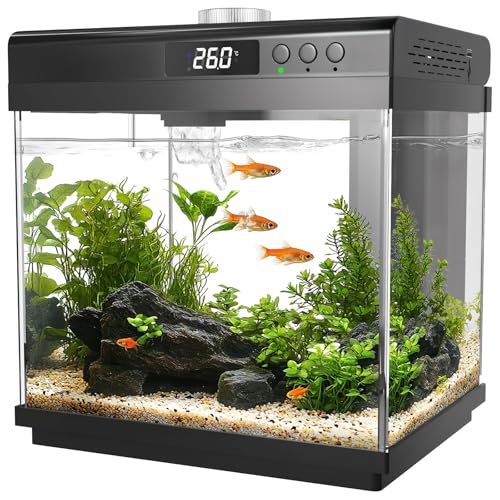 AQQA 3.7 Gallon Aquarium Starter Kit Small Glass Fish Tank with Filter and Light (10 Colors Adjustable) Desktop Self-Cleaning Betta Fish Tank Kit Office & Home Decor Idea (Black)