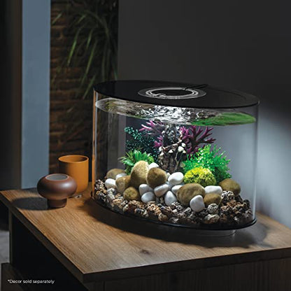 biOrb Loop 15 Acrylic 4-Gallon Aquarium with White LED Lights Modern Compact Tank for Tabletop or Desktop Display, Black-Trimmed Tank
