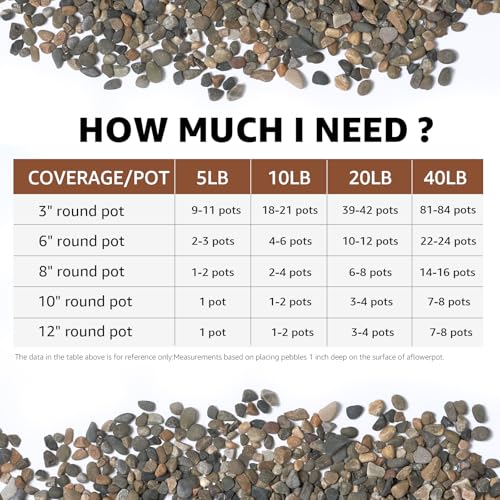 40LB Natural River Rocks, 1/4" Aquarium Gravel, Small Pebbles for Plants, Pea Gravel for Fish Tanks, Decorative Rocks for Gardening, Flower Pots, Vase Fillers, Indoor Fountains (40 LBS)