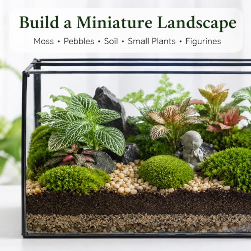 Glass Plant Terrarium with Lid, Rectangular Black Metal Frame Box for Indoor Plants, Clear Glass Container for Moss, Succulent, Fairy Garden, Tabletop Decor DIY Gift, 8.3”L x 4.7”W x 5.5”H