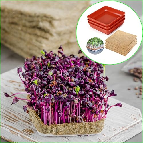 Microgreens Growing Trays Kit –3 Pack (12 x 12) in MicroGreen Grow Trays with 4 Hemp Fiber Grow Mats, 10 x 10 x 1.8 Inch Seed Starter Trays for Growing Microgreens, Indoor Gardening - size: MIX
