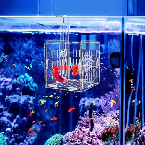 Breeder Box for Fish Tank, Fish Breeder Box for Aquarium, Acrylic Fish Isolation Box, Fish Separator for Small Baby Fishes, Bully Fish, Shrimp, Clownfish Guppy (NOT for Incubator)