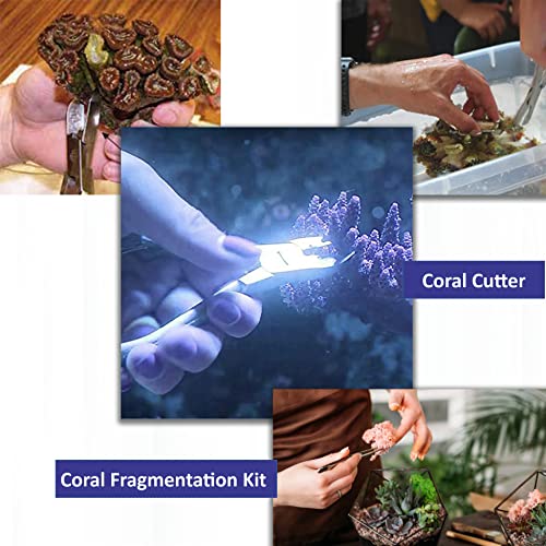A2ZScilab-Ultimate Coral Fragging Propagation Kit for Reef Hobbyists - 30 Pcs Tools for Hard Soft Reef, Stainless Steel - Coral Cutters &Tongs for Aquatic Plants,Coral Fragmenting Trim Cleaning