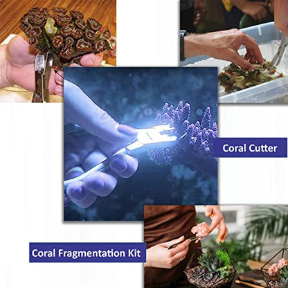 A2ZScilab-Ultimate Coral Fragging Propagation Kit for Reef Hobbyists - 30 Pcs Tools for Hard Soft Reef, Stainless Steel - Coral Cutters &Tongs for Aquatic Plants,Coral Fragmenting Trim Cleaning