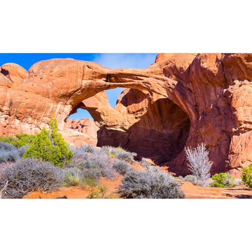 Double Arch Reptile Terrarium Background Sunny Blue Sky Bush Thorns Terrarium Background Arid Barren Cactus Sandstone Reptile Tank Background Arch Rock Mountain Reptile Habitat Background 24x12in