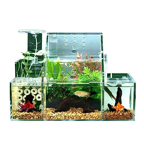 Fish Bowl Vase Ecological Fish Tank Desktop Breeding Hatching Special Fish Tank Isolation Box Circulating Water Filtration Pump Home Office Desktop Aquarium Ornaments Small Fish Tank Starter Kit