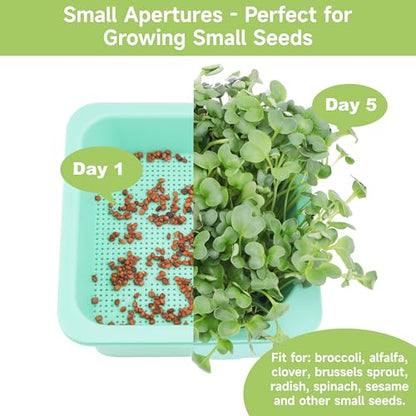 Microgreen Growing Trays, 5" x 5" Sprouting Tray with Humidity Dome, 1.2 mm Small Mesh Holes, BPA Free, Sprouter Kit for Growing Mirco Seeds, Like Broccoli, Alfalfa, Radish, Clover - 4 Pack | Colorful - color: Colorful Base