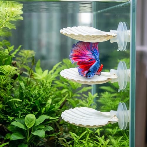 3PCS Betta Hammock Shells, Natural Small Fish Tank Decorations, Betta Fish Tank Accessories, Aquarium Decorations, Aquarium Hideout Habitat for Sleeping Resting Hiding Playing (White) - color: White