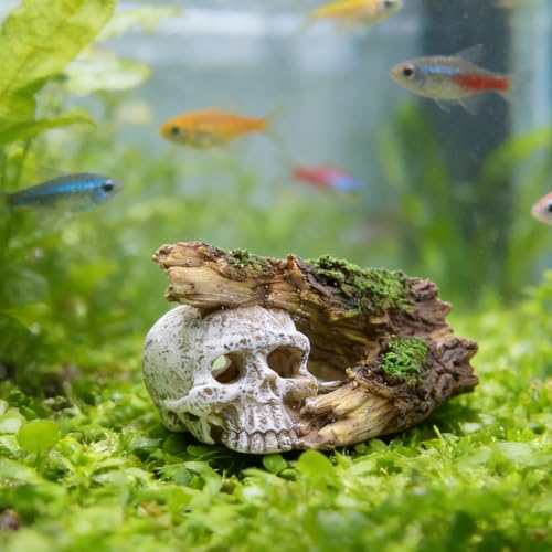 Skull Aquarium Decorations - Resin Fish Tank Rock Cave with Realistic Tree Hole, Hollow Hideout for Betta, Shrimp, Axolotl, Gothic Water Tank Ornament