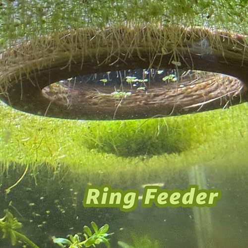 Aquarium Portal Dock/Pier Feeding Ring | Decorative Aquarium Floater Ring | Dock Floating Decor