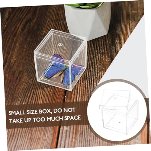 Homoyoyo 12pcs Mineral Specimen Display Case Plastic Box Dividers Mini Storage Container Food-Grade Easy Viewing Design