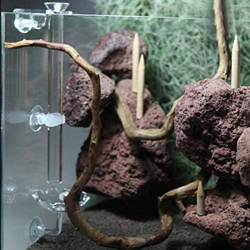 3PCS Shrimp Feeding Tube, Aquarium Glass Shrimp Feeding Tube Food Dish Pipe Holder Acrylic Fish Shrimp Feeder Tube with Holder Clip Feeding Bowl Set Aquarium Accessory(35cm)