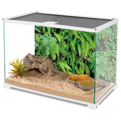 AWERT 48x18 inches Tropical Terrarium Background Tropical Plants Leaves Aquarium Background Rainforest Reptile Habitat Background Vinyl