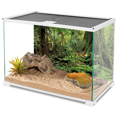 AWERT 30x18 inches Forest Terrarium Background Stone Green Huge Tree Reptile Habitat Background Tropical Rainforest Aquarium Background Durable Polyester Background - size: 30x18in/75x45cm