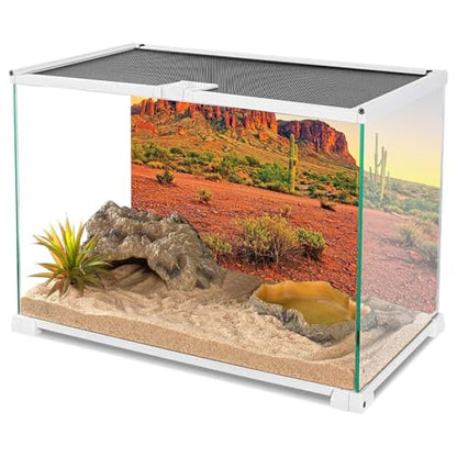 AWERT 48x24 inches Reptile Habitat Background Sky Oasis Mountain Cactus Sun and Desert Terrarium Background Durable Polyester Background