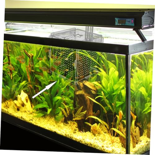 1set Acrylic Aquarium Isolation Box with Cups and Hook Transparent Fish Breeding Container for Betta Shrimp and Fry Easy Installation Compact Design