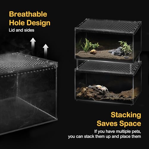 Reptile PC Terrarium,Tarantula Enclosure,Spider Tank Starter Kit,Leopard Gecko Container,Hermit Crab Habitat,Lizard Enclosure,Insect Housing,Jumping Spider Cage,Bearded Dragon Vivarium XL