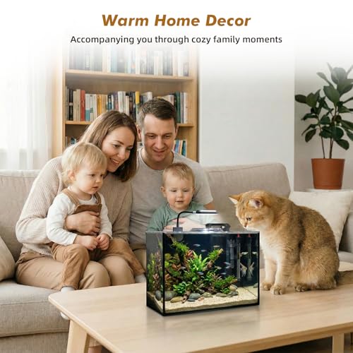 Glass Fish Tank, 2.8 Gallon Betta Fish Tank Aquarium Starter Kit with Filter and Light, Small Desktop Aquarium Kit for Betta, Goldfish, Small Fish or shrimg