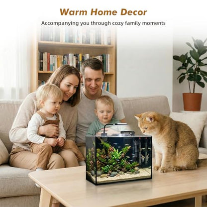 Glass Fish Tank, 2.8 Gallon Betta Fish Tank Aquarium Starter Kit with Filter and Light, Small Desktop Aquarium Kit for Betta, Goldfish, Small Fish or shrimg