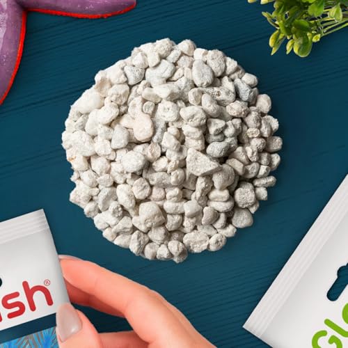 GloFish Aquarium Gravel 5 Pounds, White, Complements GloFish Tanks (29022) (Pack of 2) - color: White Frost, size: 5 pounds (Pack of 2)