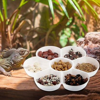 2 Pcs Hermit Crab Ceramic Food Dish, Small Hermit Crab Water Dish Hermit Crab Kit Mini Food Dish Kit for Hermit Crab Tarantula and Snail (White)