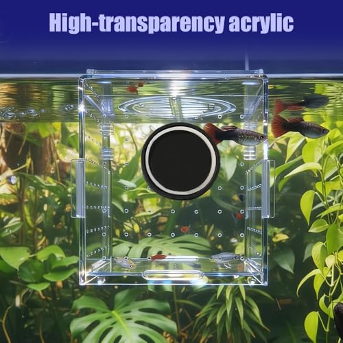 Aquarium Breeding Box,Magnetic Fixation Acrylic Fish Tank Isolation Box with Feeding Hole for Fish Hatching Rearing