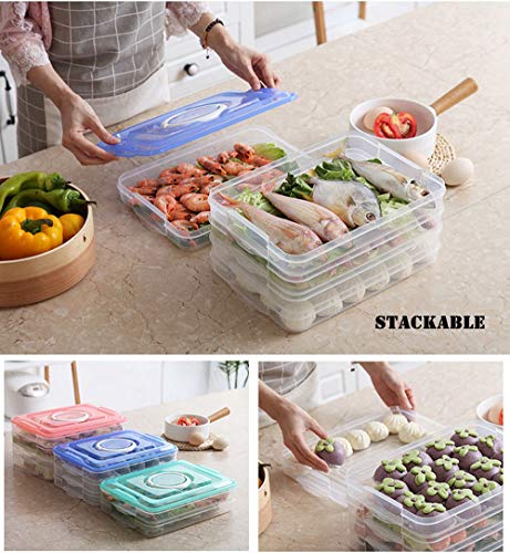 TIAN CHEN Food Refrigerator Storage Containers with 2 Lids, 4 Layer, Stackable Handheld Carrier for Snack, Cookie, Meat, Bacon, Charcuterie, BPA Free (Transparent 4 tier)