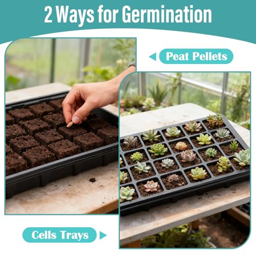 RooTrimmer 10-Pack XL Seed Starter Tray with Dome – 24 Large 2" Cells per Seedling Starter Trays (Total 240 Cells), Seed Growing Tray with Humidity Lids for Greenhouse Home Plant Propagation - color: Black and Clear, size: 10 Sets