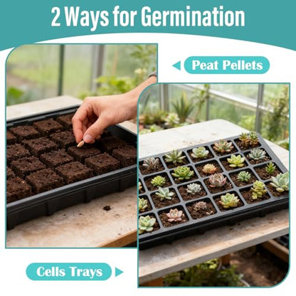 RooTrimmer 10-Pack XL Seed Starter Tray with Dome – 24 Large 2" Cells per Seedling Starter Trays (Total 240 Cells), Seed Growing Tray with Humidity Lids for Greenhouse Home Plant Propagation - color: Black and Clear, size: 10 Sets