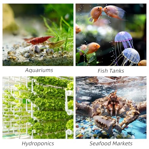 5.9 Inch Nano Air Stone with Case - Silent High Oxygen Bubbler for Aquariums, Fish Tanks & Hydroponic Systems, Black Small Bubble Diffuser Accessories (No Air Pump and Air Tube)